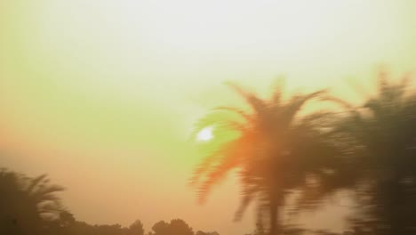 Sonnenflair-Durch-Bäume-Gehen-Orange-Sonne-Untergang-Sonnenaufgang-Indien-Zug-Pov-Zeitlupe-Totale-Morgens