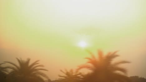 Sonnenflair-Durch-Bäume-Orange-Sonnenuntergang-Sonnenaufgang-Indien-Zug-Pov-Zeitlupe
