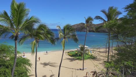 Looking-down-on-Hanauma-Bay,-Oahu-Hawaii-with-palm-trees,-sand-and-ocean