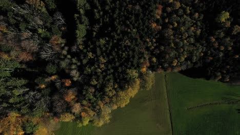 Overhead-View-Of-Green-Meadows-And-Autumnal-Forest-Trees-In-Chiemsee,-Bavaria,-Germany