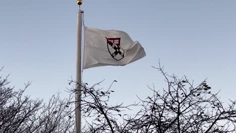 Eine-Harvard-Universitätsflagge-Auf-Einer-Umfrage,-Die-In-Zeitlupe-Im-Wind-Weht