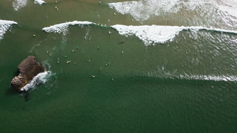 Top-down-drone-shot-of-surfers-in-the-ocean-at-Sagres-Portugal
