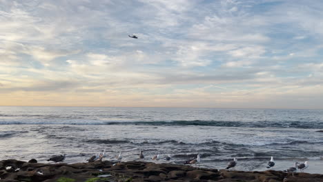 Helicopter-flying-in-sky-with-seagulls-and-ocean-at-sunset