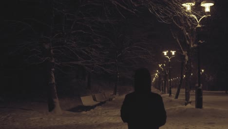 Persona-Caminando-En-Medio-De-árboles-Y-Faroles-De-Noche-En-El-Parque-De-La-Ciudad-En-Temporada-De-Invierno