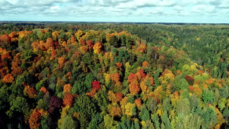 Autumn's-fall-colors-are-on-display-in-the-forested-mountains---aerial-flyover