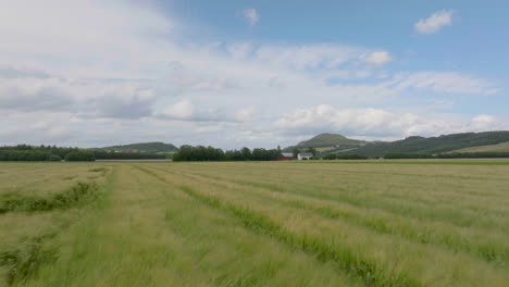 Goldenes-Weizenfeld-An-Einem-Ruhigen-Sommertag-In-Norwegen,-Antenne