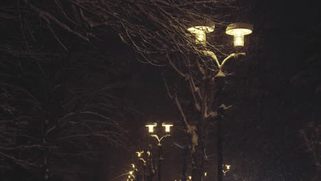 Snowy-winter-park-with-light-pole-emitting-incandescent-light-during-snowfall