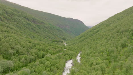 Lush-green-natural-forest-in-valley-with-mountain-river-flowing-through,-aerial