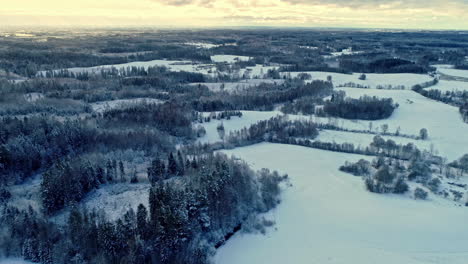 Snowy-landscape-and-coniferous-forest.-Aerial-backward