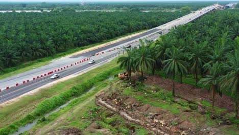Aerial-drone-fly-around-sabrang-estate-sime-darby-plantation,-thriving-palm-tree-farm-in-teluk-intan-along-side-E32-west-coast-expressway,-interstate-highway,-excavator-removing-the-grove