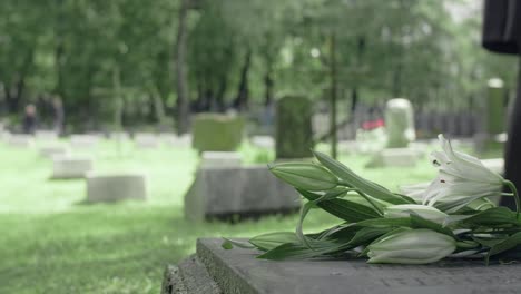 Menschen-Hinterlassen-Blumen-Auf-Dem-Grab-Eines-Familienmitglieds,-Trauerndes-Konzept
