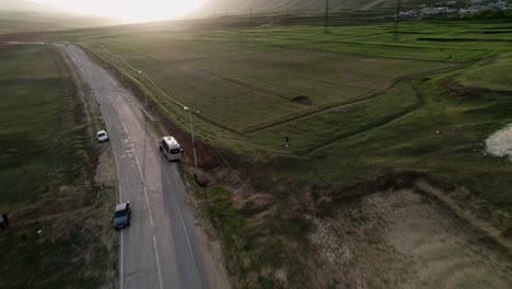 Aerial-view-of-herd-of-cows-while-crossing-the-road-during-sunset