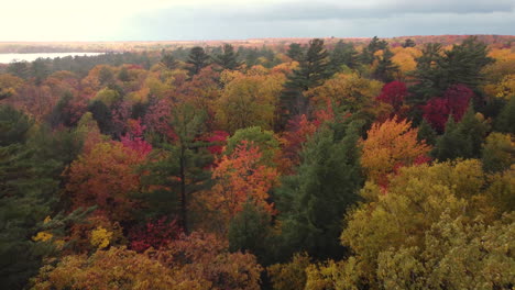 Filmischer-Flug-über-Die-Herbstfarbenen-Wälder-Des-Killbear-Provincial-Park-Bei-Frühwindigem-Nieselregen-Und-Bedecktem-Himmel