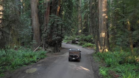 Truck-is-driving-on-a-path-through-the-woods,-drone-camera-is-following-it-up