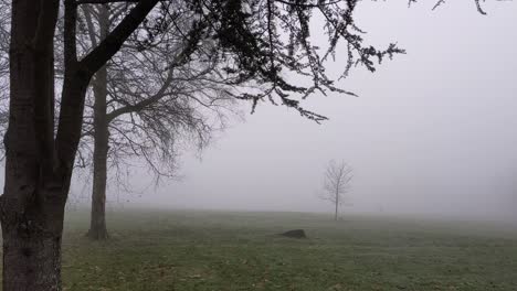Misty-Fog-View-of-Park-with-Trees-and-Crow-and-Mysterious-Ghostly-Dark-Figure-Roaming-Around-in-Background-UK-4K