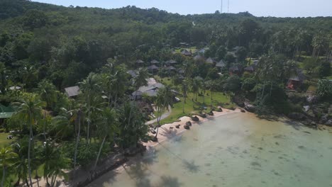 Coconut-palm-shade-on-beach