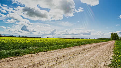 A-dirt-road-along-a-farmland-field-of-rapeseed-with-a-cloudscape-time-lapse-overhead