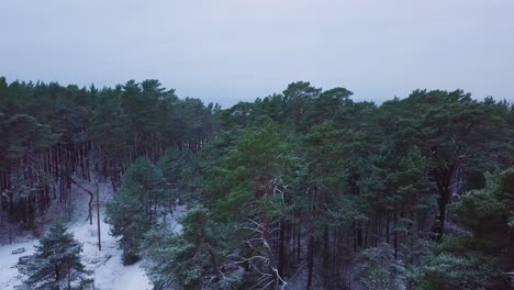 Beautiful-aerial-establishing-view-of-Baltic-sea-coast-on-a-overcast-winter-day,-beach-with-white-sand-covered-by-snow,-coastal-erosion,-climate-changes,-wide-ascending-drone-shot-moving-forward