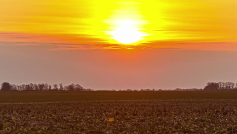 A-vibrant-golden-sunrise-over-farmland-crops---time-lapse