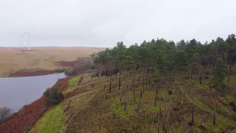 Slow-Aerial-Panning-shot-of-Forest-Trees-Plantation-with-Wind-Turbines-on-Hill-and-Reservoir---Drone-UK-4K