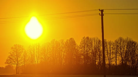 Timelapse-shot-over-trees-of-golden-sun-rising-in-the-bright-yellow-sky-along-morning-time