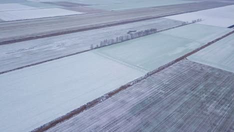 Vogelperspektive-Aus-Der-Vogelperspektive-Auf-Wintergetreide-Unter-Dem-Schnee,-Landwirtschaftliche-Winterweizenfelder-Unter-Dem-Schnee,-Bewölkter-Wintertag,-Drohnenschuss-In-Großer-Höhe,-Der-Sich-Vorwärts-Bewegt