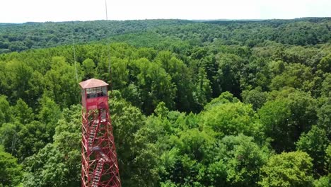 Fire-Tower-Forest-Drone-2