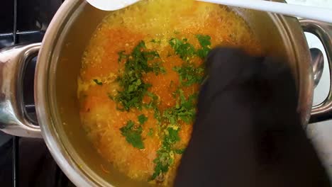 Karottensuppe,-Zu-Der-Petersilie-Hinzugefügt-Wird