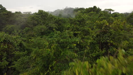 Flying-over-the-thick-green-rain-forest-Canopy-in-Panama-with-mist-,-early-morning-fog