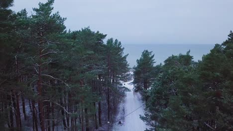 Beautiful-aerial-establishing-view-of-Baltic-sea-coast-on-a-overcast-winter-day,-beach-with-white-sand-covered-by-snow,-coastal-erosion,-climate-changes,-wide-ascending-drone-shot-moving-forward