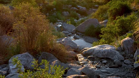 A-mountain-river-with-sunset-light