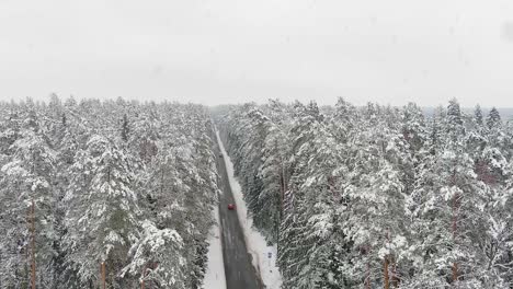 Red-car-driving-on-woodland-road-during-snowfall-in-winter-season,-aerial-ascend-view