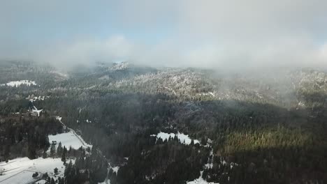 Invierno-Sobre-El-Bosque,-Clima-Nublado