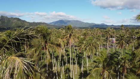 Cinematic-aerial-footage-of-Wild-Kauai-nature-on-sunny-Hawaii-island