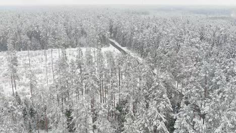 Asphalt-road-leading-through-winter-forest-while-snowing,-aerial-drone-view