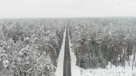 Pine-tree-forest-with-road-covered-in-snow-during-heavy-snowfall,-aerial-view