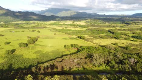 Filmische-Luftaufnahmen-Der-Wilden-Kauai-natur-Auf-Der-Sonnigen-Hawaii-insel