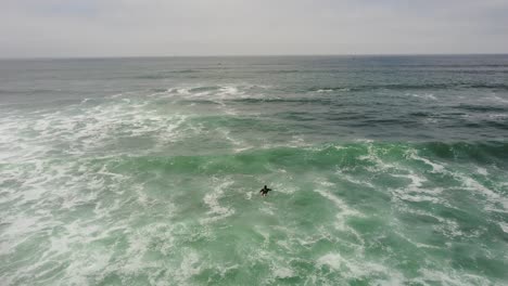 Surfer-paddling-out-in-the-ocean-as-drone-flies-over-head-and-tilts-gimbal-camera-down