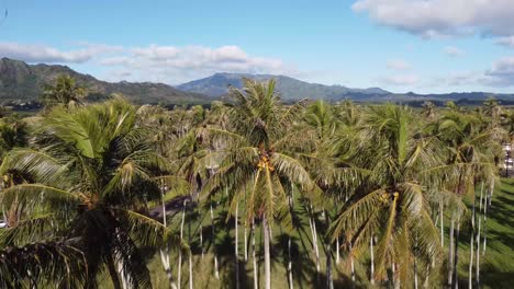 Epic-aerial-footage-of-Wild-Kauai-nature-on-sunny-Hawaii-island