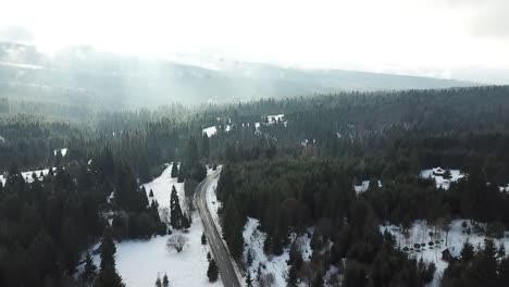 Camino-De-Invierno-Sobre-El-Bosque