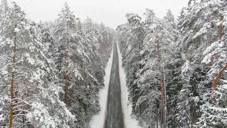 Camino-Forestal-Recto-E-Interminable-En-La-Temporada-De-Invierno,-Vuelo-Cercano-A-Las-Ramas-De-Los-árboles