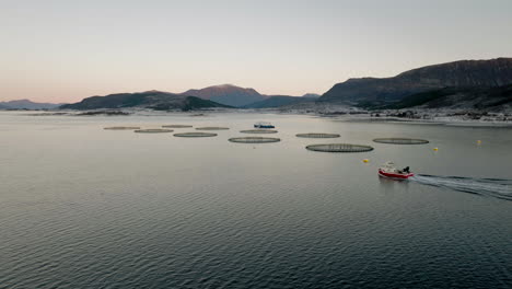 Drohnenwagen-In-Richtung-Boot,-Das-Am-Lachsgehege-Der-Fischfarm-In-Norwegen-Ankommt
