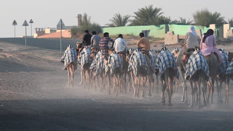 4k:-Un-Grupo-De-Hombres-Monta-Camellos-Por-El-Desierto-En-Un-Campamento-De-Camellos-En-Dubai,-Emiratos-árabes-Unidos,-Camello-En-El-Desierto-En-El-Golfo-Pérsico