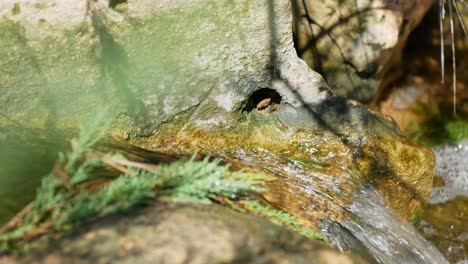 Water-flowing-over-rocks-eroding-the-surface-to-create-a-natural-runoff-along-a-creek---isolated-close-up