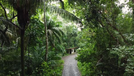 Moving-through-a-pathway-between-a-jungle-towards-a-small-constructed-place-in-the-panama-forest-Gamboa