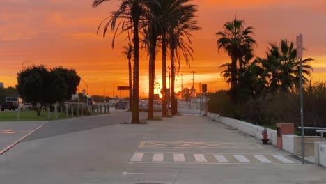 Silhouettierte-Palmen-Gegen-Sonnenunterganghimmel