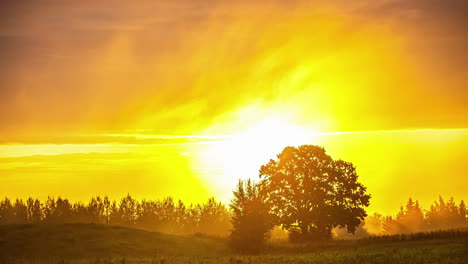 Countryside-Against-A-Bright-Golden-Horizon-With-Misty-Sunrise