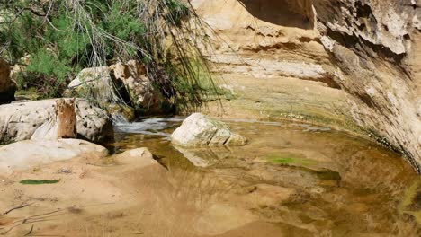 Creek-flowing-over-rocks-and-creating-natural-erosion-as-the-water-trickles-down-the-mountain