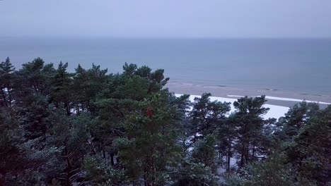 Aerial-establishing-view-of-Baltic-sea-coast-on-a-overcast-winter-day-with-green-coastal-fisherman-boat,-beach-with-white-sand-covered-by-snow,-wide-angle-drone-shot-moving-forward