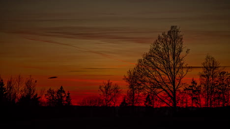 Filmischer-Zeitraffer-Des-Orangefarbenen-Sonnenuntergangs-Durch-Bäume